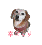 jiny（個別スタンプ：1）