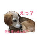jiny（個別スタンプ：3）