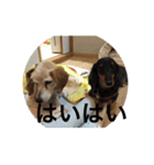 jiny（個別スタンプ：5）