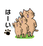 愛しのお猫様（個別スタンプ：9）