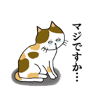 愛しのお猫様（個別スタンプ：21）