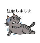 愛しのお猫様（個別スタンプ：31）