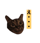 サスキラすたんぷ（個別スタンプ：2）