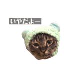 サスキラすたんぷ（個別スタンプ：4）
