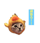 サスキラすたんぷ（個別スタンプ：6）