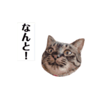 サスキラすたんぷ（個別スタンプ：7）