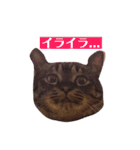 サスキラすたんぷ（個別スタンプ：11）