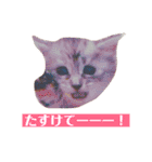 サスキラすたんぷ（個別スタンプ：15）