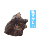 サスキラすたんぷ（個別スタンプ：16）