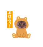 サスキラすたんぷ（個別スタンプ：20）