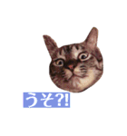 サスキラすたんぷ（個別スタンプ：21）