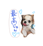 Cielじゃん♡！（個別スタンプ：1）