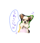 Cielじゃん♡！（個別スタンプ：4）