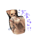 Cielじゃん♡！（個別スタンプ：8）