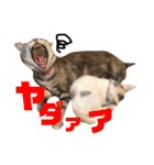 ルナ＆うり part1（個別スタンプ：6）