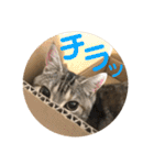 ルナ＆うり part1（個別スタンプ：10）