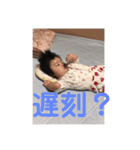 りおの思（個別スタンプ：10）