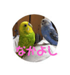 あきじんスタンプ1（個別スタンプ：3）