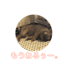 らびふぁー！（個別スタンプ：8）