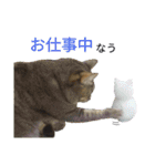 うちのにゃんこ6（個別スタンプ：15）