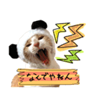 おみそちゃんスタンプ 2（個別スタンプ：3）