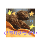 MoCo311（個別スタンプ：1）