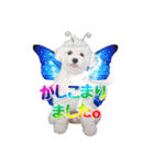 こぶた＆おーじ(バラエティver.)（個別スタンプ：5）