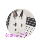 ごまちゃん。（個別スタンプ：4）