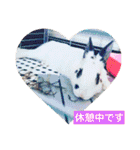 ごまちゃん。（個別スタンプ：9）