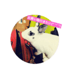 ごまちゃん。（個別スタンプ：10）