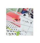 ごまちゃん。（個別スタンプ：17）