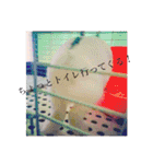 ごまちゃん。（個別スタンプ：20）