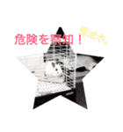 ごまちゃん。（個別スタンプ：31）