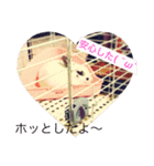 ごまちゃん。（個別スタンプ：33）