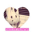 ごまちゃん。（個別スタンプ：39）