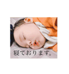 すがわらさんちの子供たち（個別スタンプ：1）