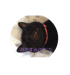 すがわらさんちの子供たち（個別スタンプ：3）