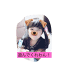 すがわらさんちの子供たち（個別スタンプ：14）