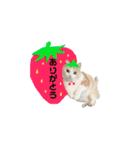 ねねのこ ②（個別スタンプ：8）