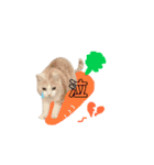 ねねのこ ②（個別スタンプ：9）