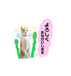 ねねのこ ②（個別スタンプ：12）