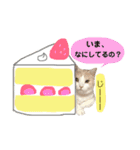 ねねのこ ②（個別スタンプ：14）