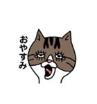 きじとらにゃんこ（個別スタンプ：2）
