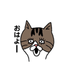 きじとらにゃんこ（個別スタンプ：3）