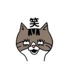 きじとらにゃんこ（個別スタンプ：5）