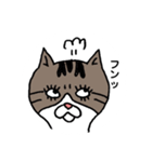きじとらにゃんこ（個別スタンプ：6）