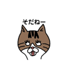 きじとらにゃんこ（個別スタンプ：7）