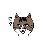 きじとらにゃんこ（個別スタンプ：8）