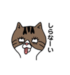 きじとらにゃんこ（個別スタンプ：10）