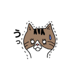きじとらにゃんこ（個別スタンプ：13）